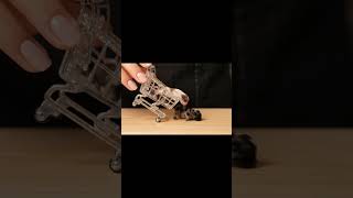 ガラスの手押し車で子犬を運ぶ Transporting a Puppy in a Glass Wheelbarrow #glass #puppy   #asmr #shorts #ai