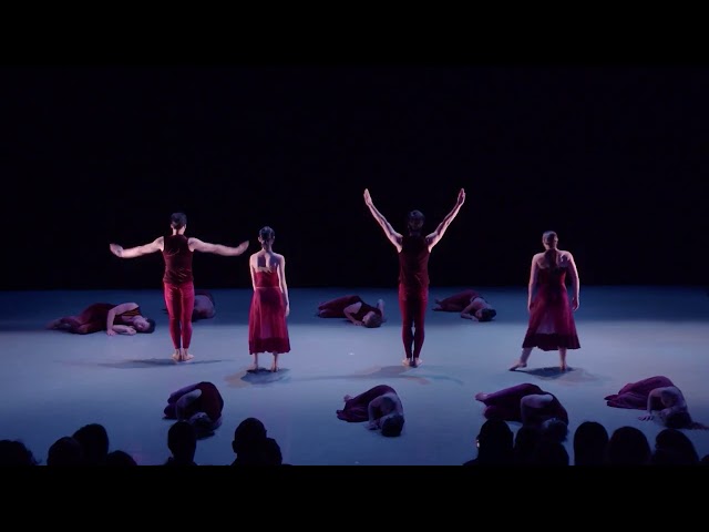 Peridance Performances & Class Footage