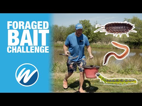 We Had To Scavenge Our Bait! | Andy May Vs Jamie Hughes | Pole and Match Fishing