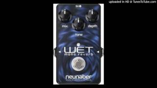Video thumbnail for Neunaber WET Mono Reverb V4 Demo by TheTinMan