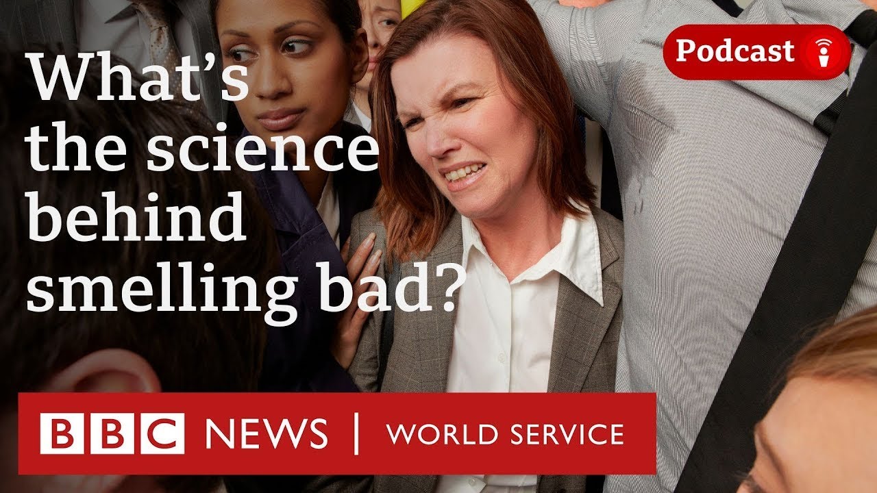 Why do armpits smell? - CrowdScience podcast, BBC World Service