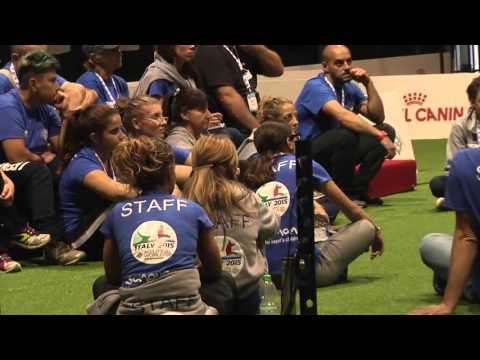 Agility World Championship 2015 - Highlights