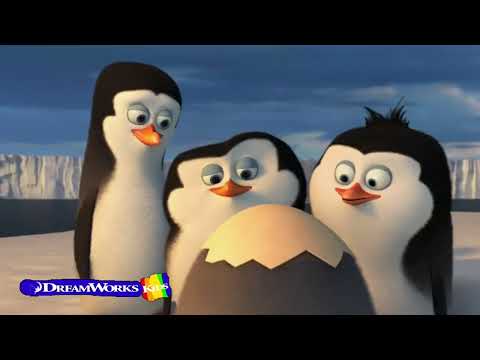 Meet Private | Penguins of Madagascar | Penguin Problems! | DWKids | TtFM