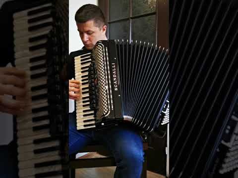 Scandalli Super VI - Naprawa & Strojenie Akordeonów-Lucjan Trojan
