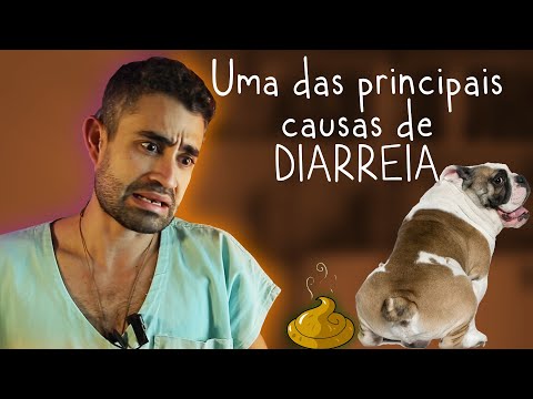 Giardíase em pets | Dica Veterinária #59