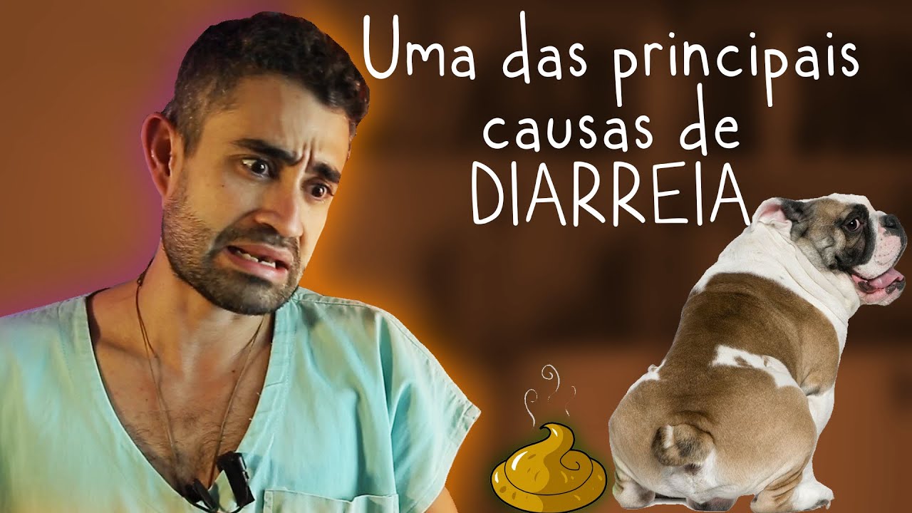 Giardíase em pets | Dica Veterinária #59