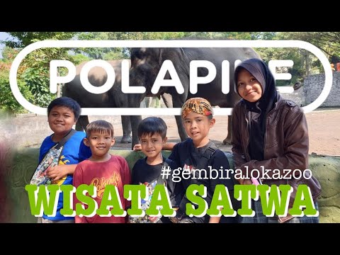 wisata-satwapolapikefilm-pendek-ngapak-kebumen