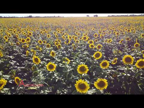Germán Iturriza - Hermoso Campo Chaco.