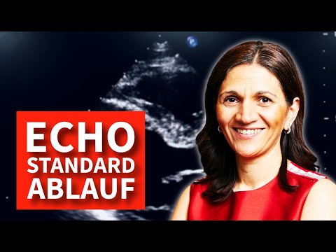 Standard-Untersuchungsablauf Echo - so geht's richtig (+ die häufigsten Fehler die ich täglich sehe)