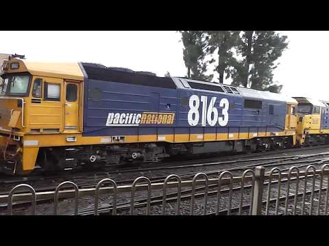 Pacific National - 81 Class and DL Class - Sydney Freight Line - Manildra Grain Train