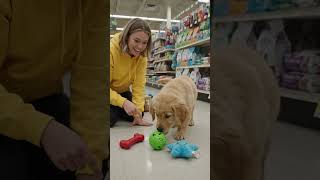 Download lagu Cinematic 4k vlog-style video of a person kneeling with a golden#youtubeshorts#foryou @Highlight mp3