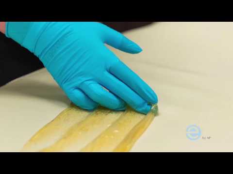 ErgoWave Level Up Challenge!