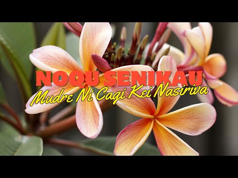 Mudre Ni Cagi Kei Nasiriva - Noqu Senikau (Official Music Video)