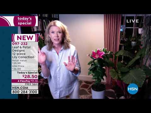 HSN | Outdoor Living 05.07.2021 - 12 AM