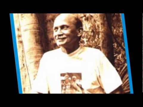 harmonia cósmica-padrinho Zé Ricardo