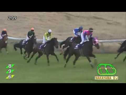 2017.04.15 Nakayama Grand Jump (JPN) - Oju Chosan