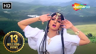 Teri Banjaran Rasta Dekhe | Sridevi | Alka Yagnik | Banjaran (1991) | 90s Hindi Songs