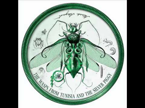 Mark August - The wasps from Tunisia and the silver piggy