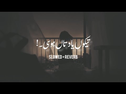Meda Dil Pia Thendy ( Slowed + Reverb ) | Ahmad Nawaz Chheena | Saraiki Slowed and Reverb
