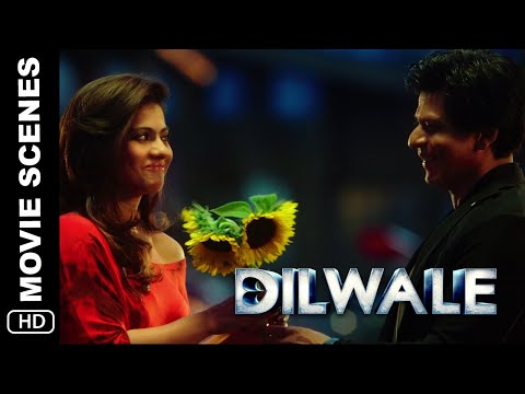 Meera & Kaali's Romantic Date | Dilwale Scene | Shah Rukh Khan, Kajol, Varun Dhawan, Kriti Sanon