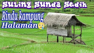 Download lagu Suling Sunda sangat merdu paling sedih😭 mp3