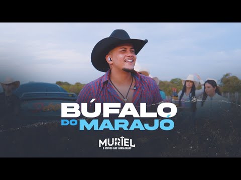 BUFALO DO MARAJÓ - Muriel (DVD O Pipoco Das Cavalgadas) IG omurieloficial