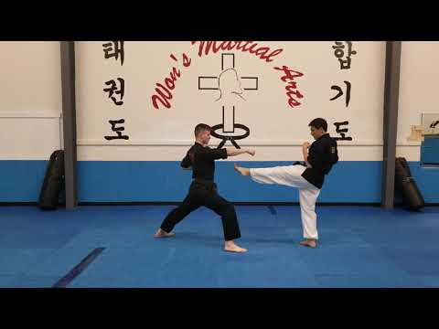 One-Step Sparring Techniques: Yellow-Green Belt Level
