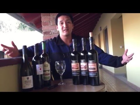 Wine Travel in Fruška Gora, Serbia and Ilok, Croatia