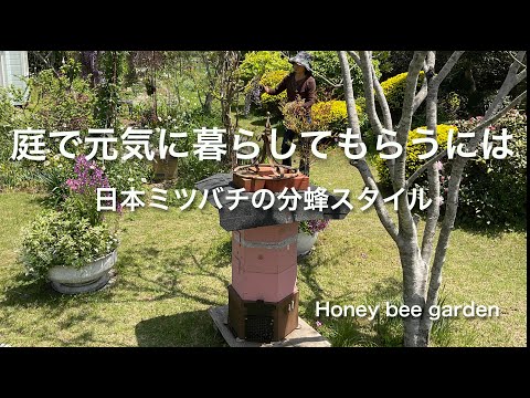 重要な野生のミツバチ植物 ガーデンデザイン