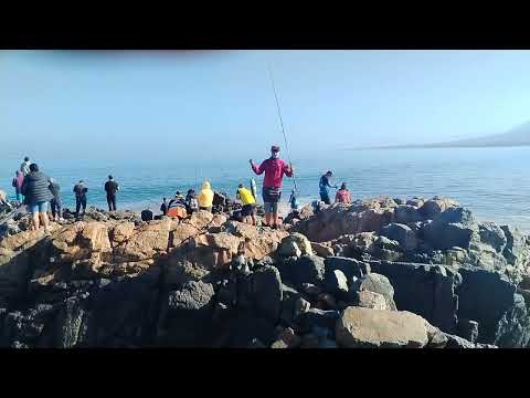 Pesca de mono o bonito o atún chileno, en Huasco, Región de Atacama, Chile 