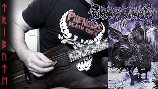 Tribute To Dissection - At The Fathomless Depths
