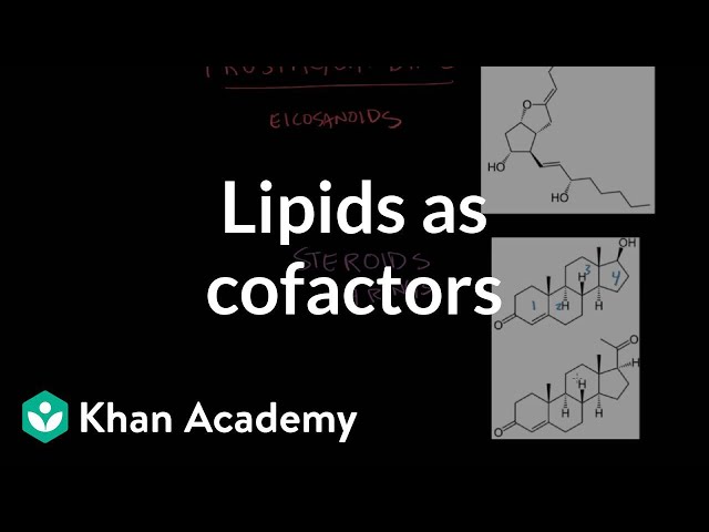 Vidéo Prononciation de eicosanoid en Anglais