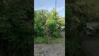 Download lagu suasana pedesaan..jalan rusak😂#shortvideo #shorts #short mp3