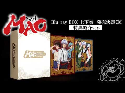 MAO Video6