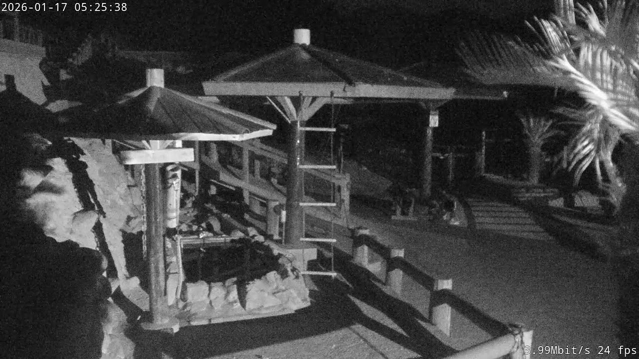 Awaji Monkey Center, Sumoto, Hyogo