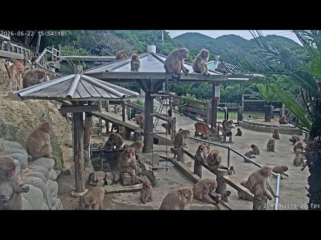 淡路島モンキーセンター