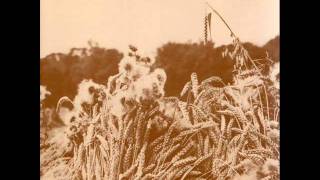 Eyeless in Gaza - Catch me