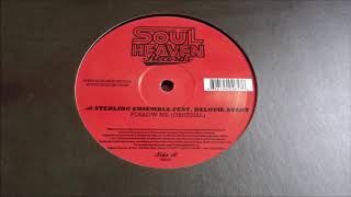 Sterling Ensemble Feat. Delouie Avant - Follow Me (Fanatix Underground Dub)