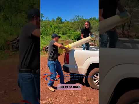 El sabor de la tierra colorada 🍅 | Cuando la esperanza florece en Misiones 🌿