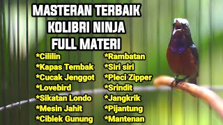 Download lagu MASTERAN TERBAIK SEPANJANG MASA KOLIBRI NINJA GACOR FULL MATERI TEMBAKAN TAJAM JERNIH 100% GACOR mp3