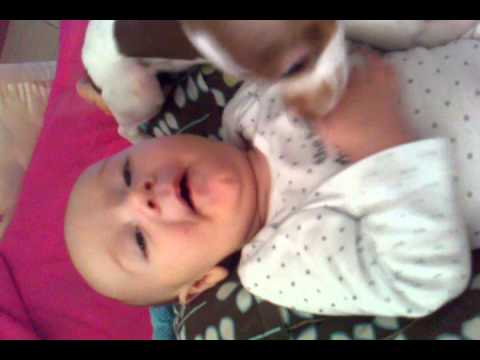 Gizmo gives Niko kisses