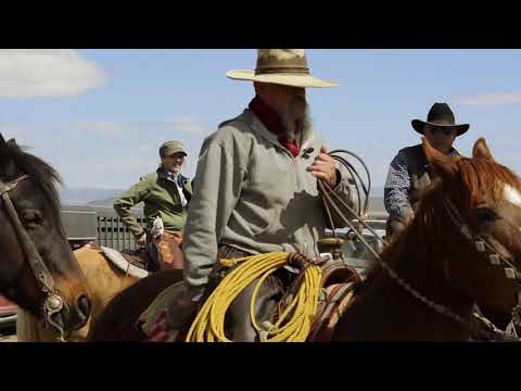 A Day in the Life of a Modern Cowboy