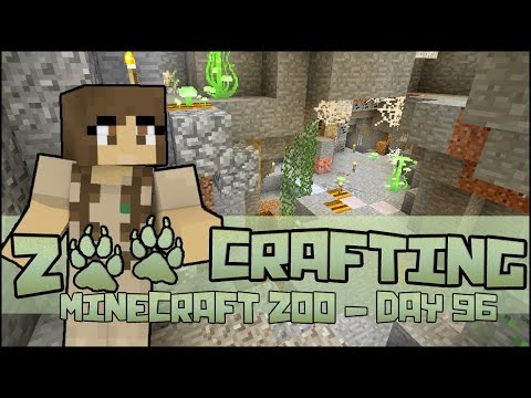 Wandering Caves & A Tale of Biscotti 🐘 Zoo Crafting: Season 2 - Episode #96