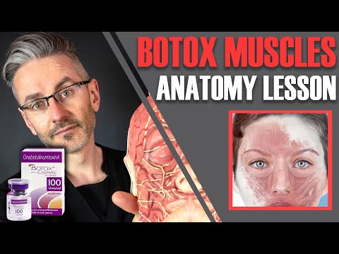 MUSCLE ANATOMY: How to avoid side effects & maximise Botox efficiency [Aesthetics Mastery Show]