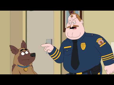 Paradise PD - Pocisk ( Najlepsze sceny 2021)