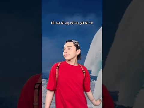 Khi bạn gặp phải gấu | Chun Pop