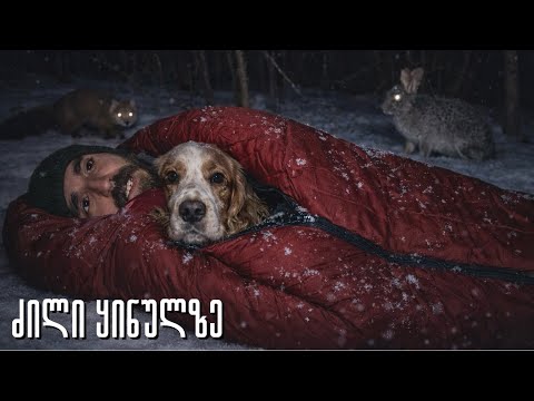 ტყის ცხოველები დავაფიქსირე ! 24 საათი ყინვაში თავშესაფრის გარეშე