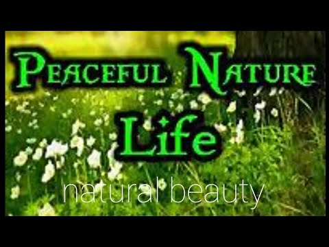 ##Nature beauty  Tour  by vanshu & pinshu ## Tour of manali ##