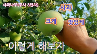 이제부터 이렇게 사과를 키워보자