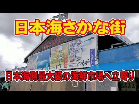 [Ciudad pesquera del Mar de Japón] Pase por el mercado de mariscos más grande del lado del Mar de Japón en la ciudad de Tsuruga, Prefectura de Fukui. ¿Cuál es la situación actual y la situación de congestión?